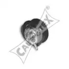 cautex-460961