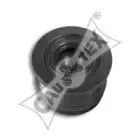 cautex-460968