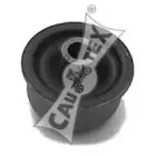 cautex-080087