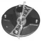 cautex-081001