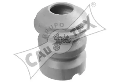 cautex-201531