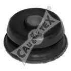 cautex-461206