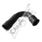 cautex-461393