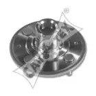 cautex-701000