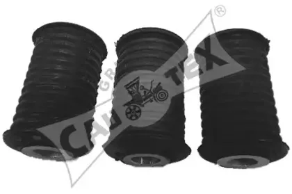 cautex-021333