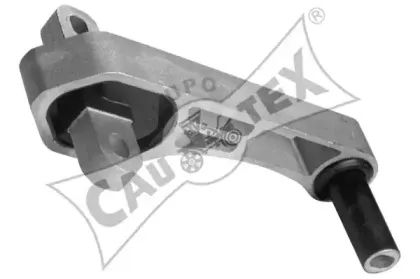 cautex-031509