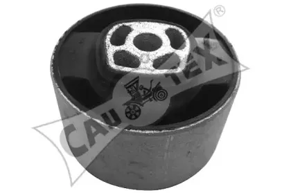 cautex-031512