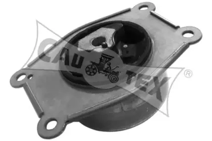 cautex-482527