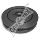 cautex-020913