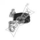 cautex-462402