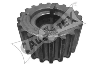 cautex-021306