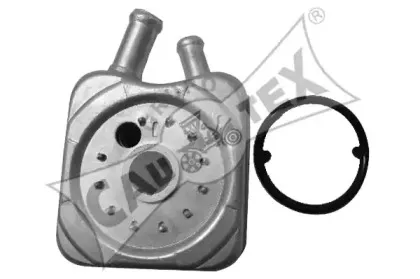 cautex-462419