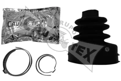 cautex-081218