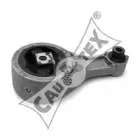 cautex-020063