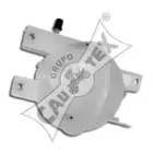 cautex-081015