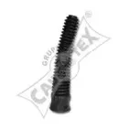 cautex-021112