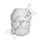 cautex-460912