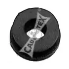 cautex-480610