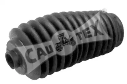 cautex-080223