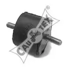 cautex-020300