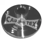 cautex-461004