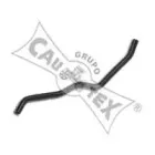 cautex-021197