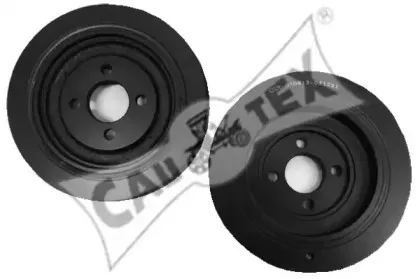 cautex-030913