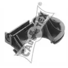 cautex-080913