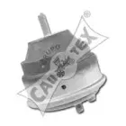 cautex-200952