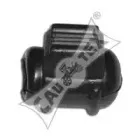 cautex-021102
