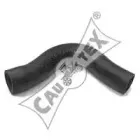 cautex-186019