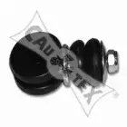 cautex-460896