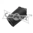 cautex-462401