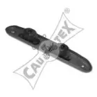cautex-461312