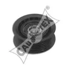 cautex-460985