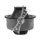 cautex-480810