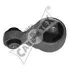 cautex-021059