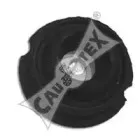 cautex-460183