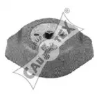 cautex-460165