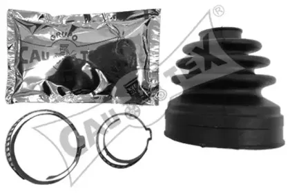 cautex-460204