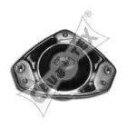 cautex-010966