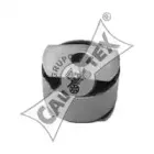 cautex-020126