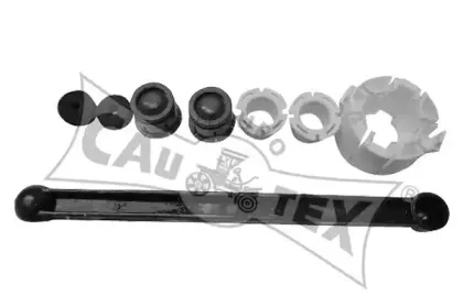 cautex-482502