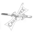 cautex-460934