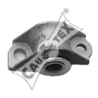 cautex-010910