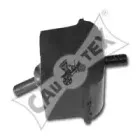 cautex-021103