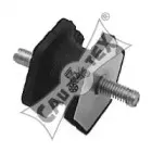 cautex-020132