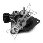 cautex-020065
