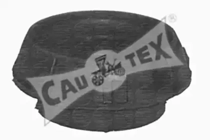 cautex-020501