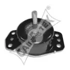 cautex-020512